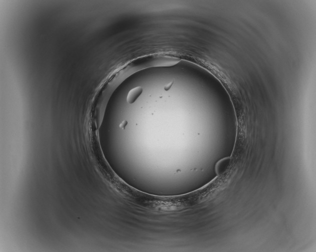 X0000116660347200912211512