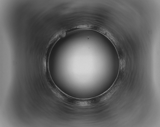 X0000116660349200912211512