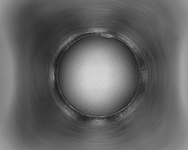 X0000116660350200912211512