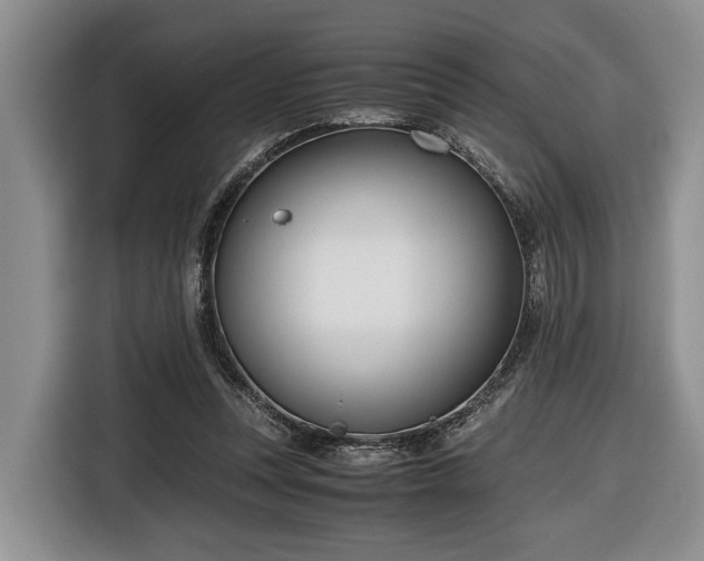 X0000116660351200912211512