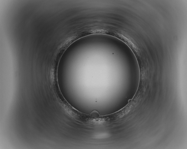 X0000116660353200912211512