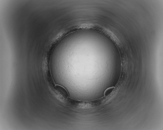 X0000116660354200912211512