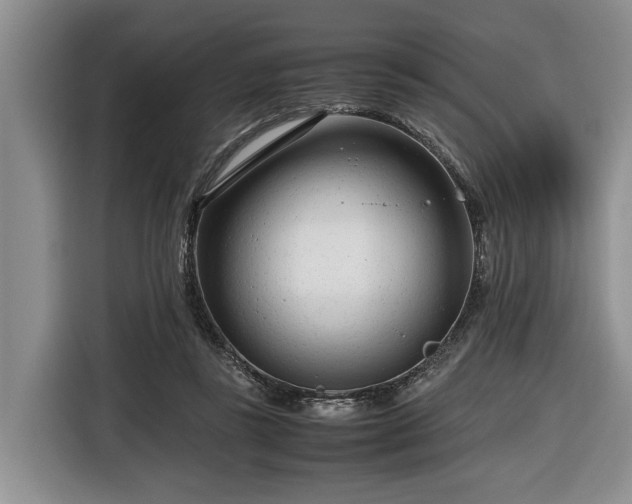 X0000116660355200912211512