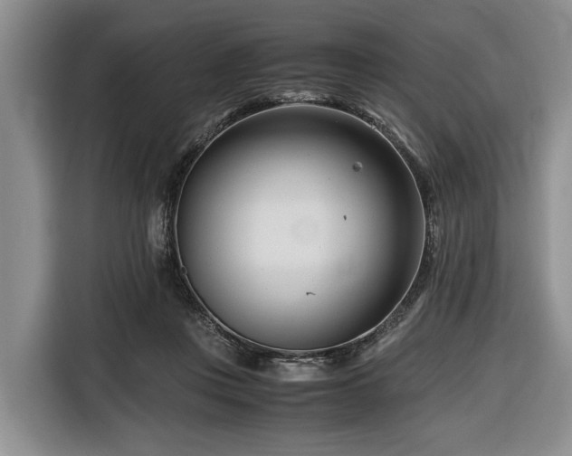 X0000116660359200912211512