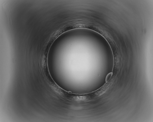 X0000116660361200912211512