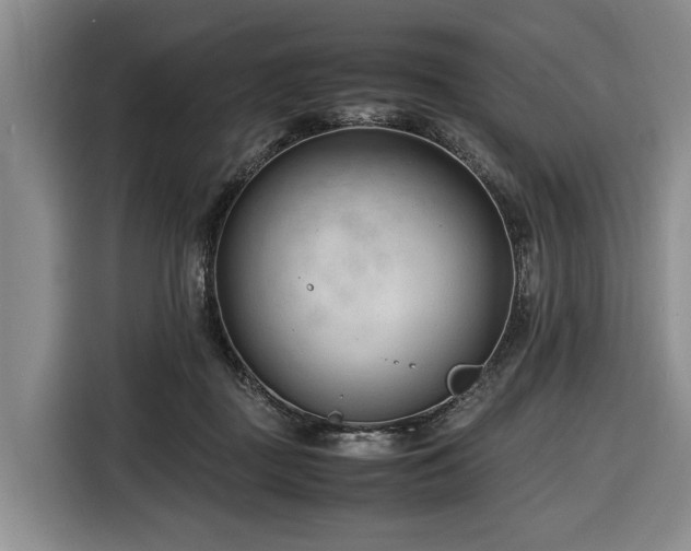 X0000116660363200912211512