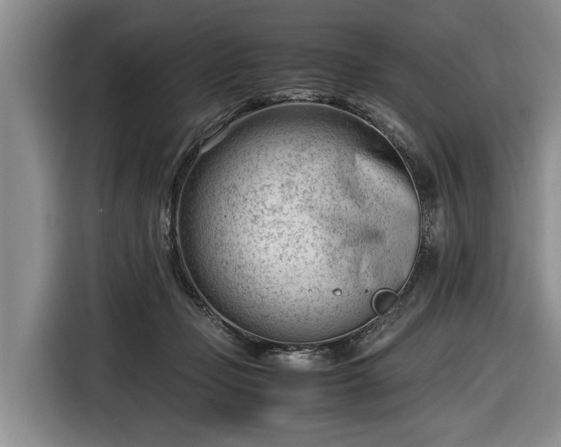 X0000116660365200912211512