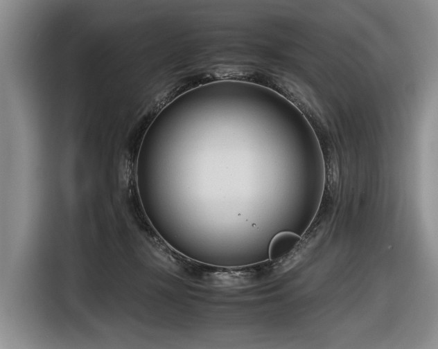 X0000116660367200912211512