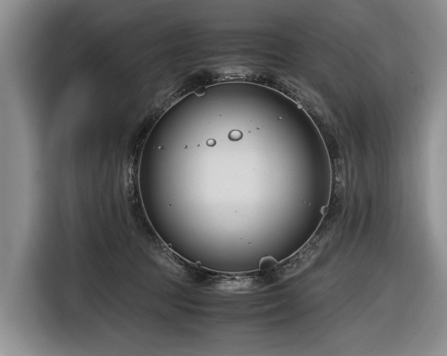 X0000116660369200912211512