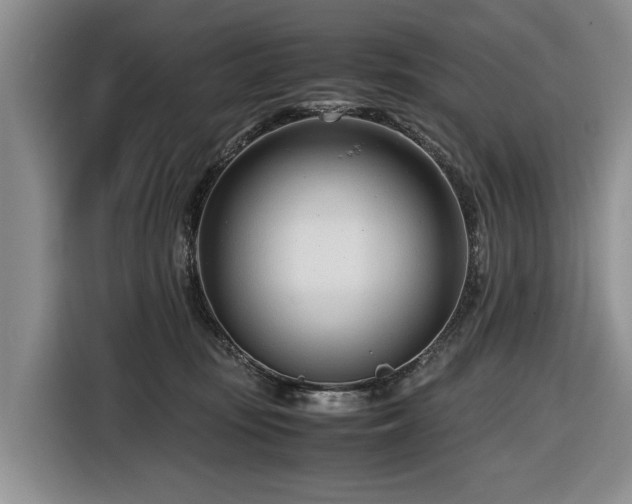 X0000116660371200912211512