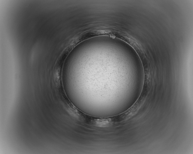 X0000116660373200912211512