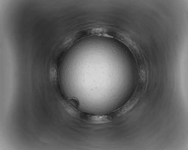 X0000116660375200912211512