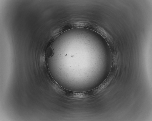 X0000116660377200912211512