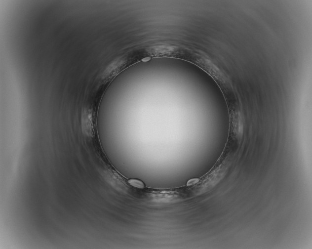 X0000116660378200912211512