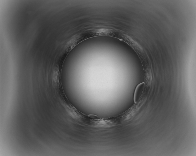 X0000116660379200912211512