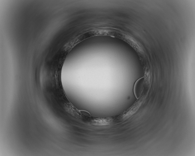 X0000116660381200912211512