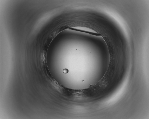 X0000116660382200912211512