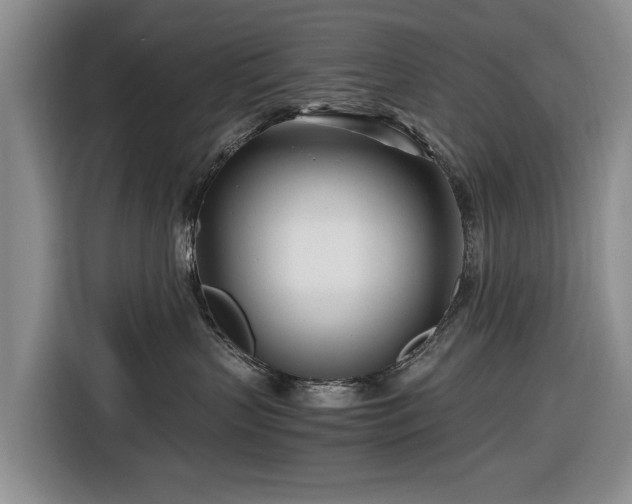 X0000116660383200912211512