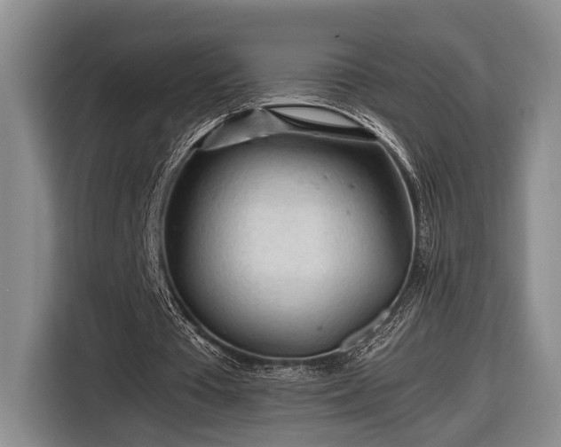 X0000116660385200912211511