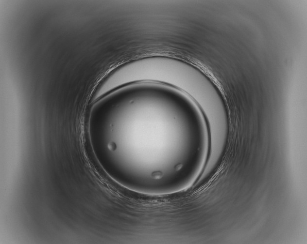 X0000116660386200912211511