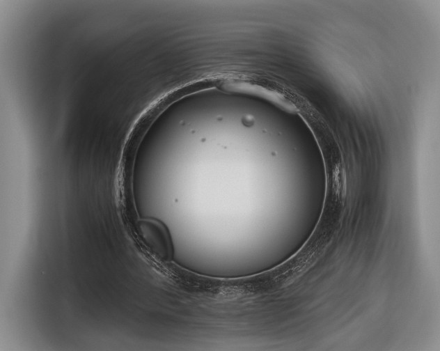 X0000116660388200912211511