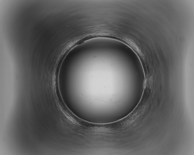 X0000116660389200912211511