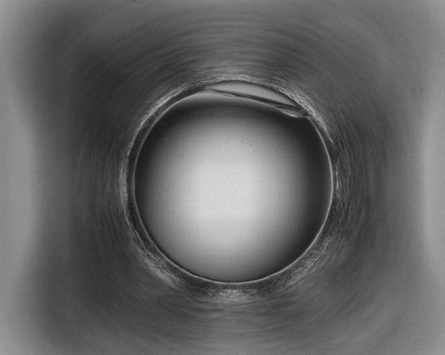 X0000116660390200912211511