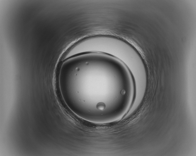 X0000116660391200912211511