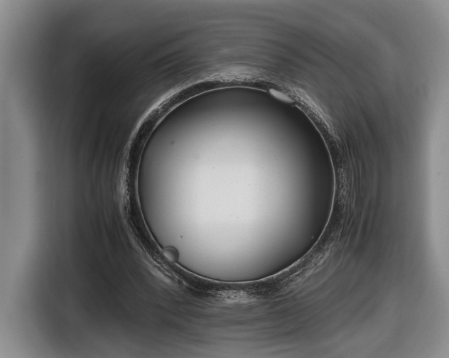 X0000116660392200912211511