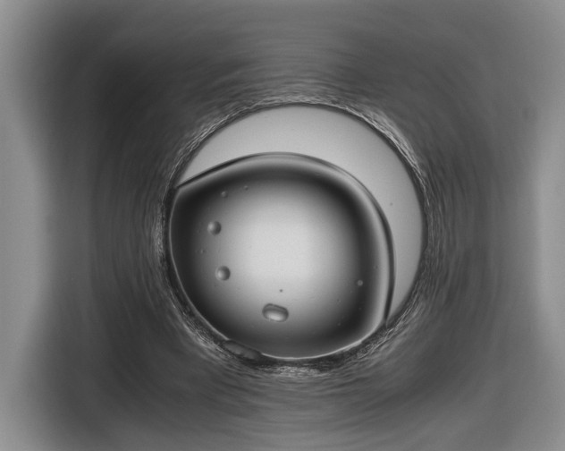 X0000116660393200912211511