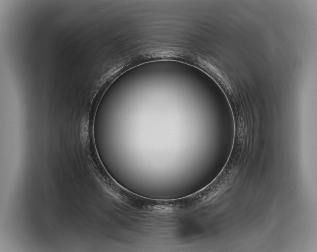 X0000116660394200912211511