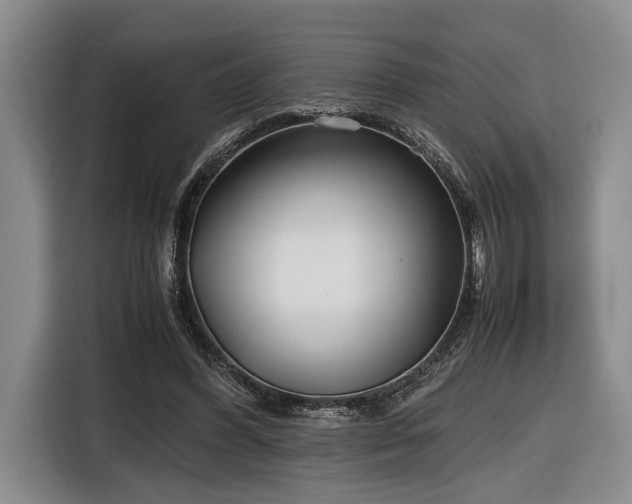 X0000116660396200912211511