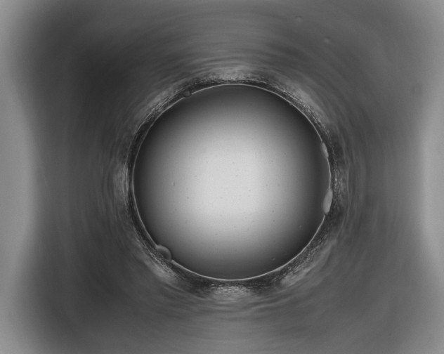 X0000116660397200912211511