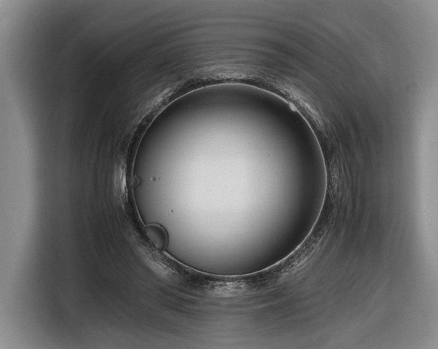 X0000116660398200912211511