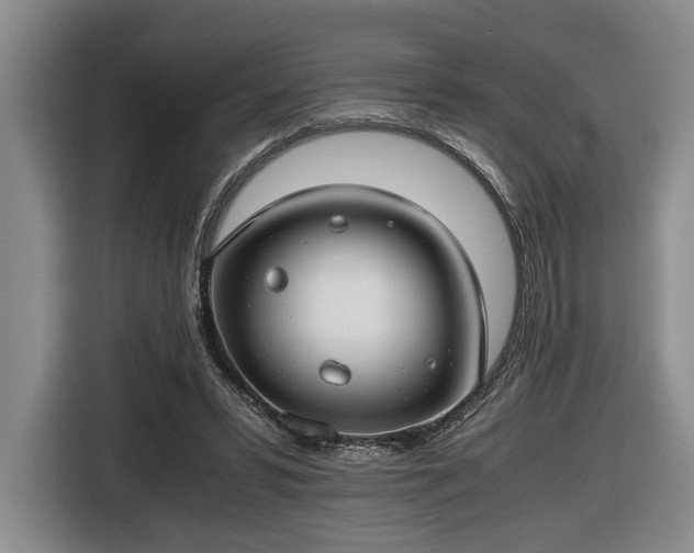 X0000116660399200912211511