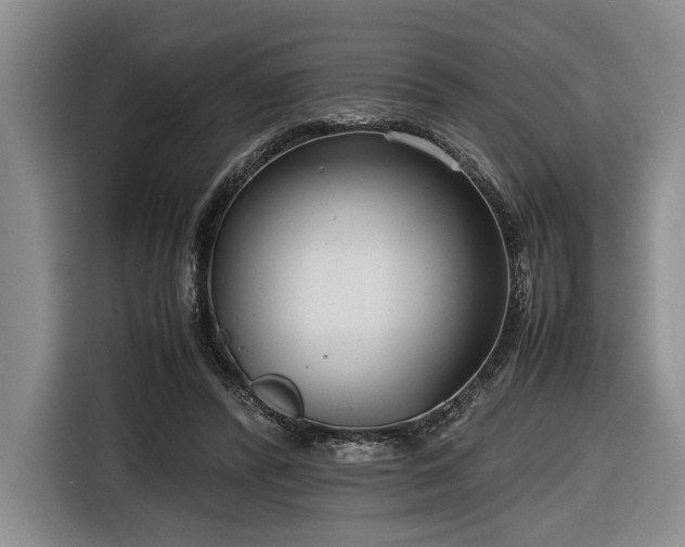 X0000116660400200912211511