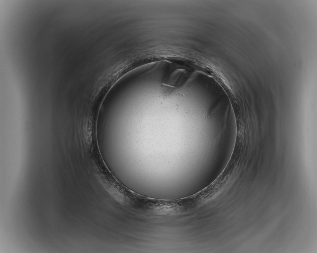 X0000116660402200912211511