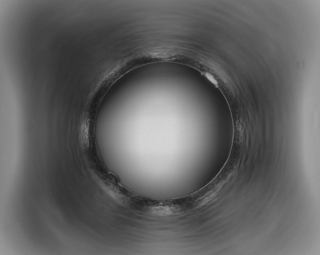 X0000116660404200912211511