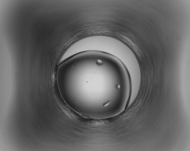 X0000116660405200912211511