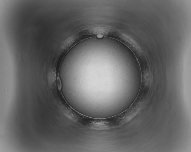 X0000116660407200912211511