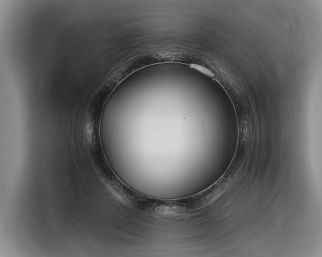 X0000116660408200912211511