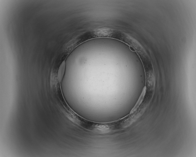 X0000116660409200912211511