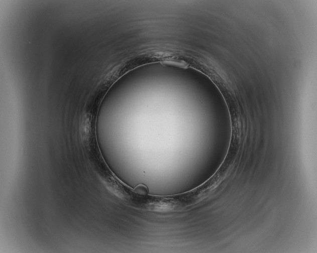 X0000116660412200912211511