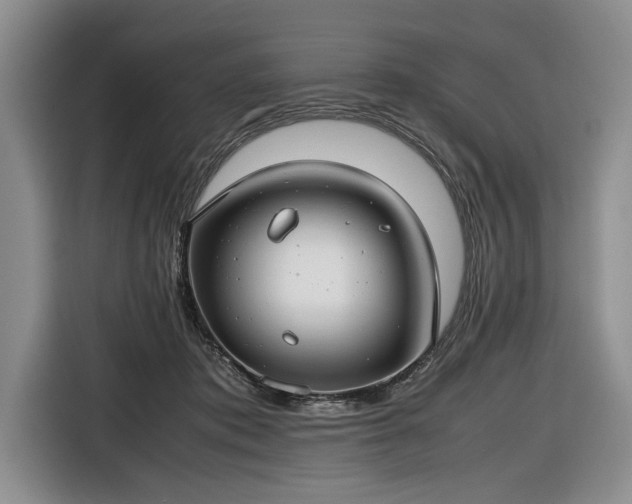 X0000116660413200912211511