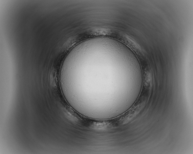 X0000116660414200912211511