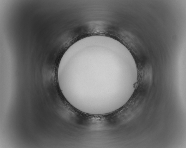 X0000116660415200912211511