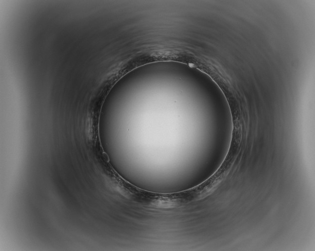 X0000116660416200912211511