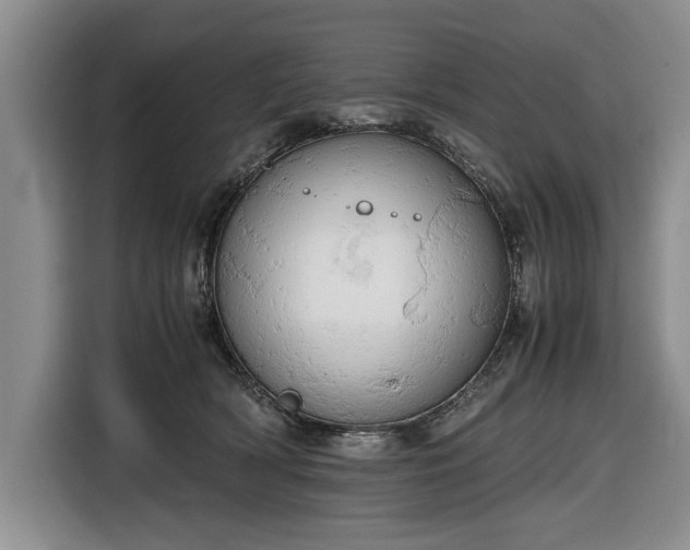 X0000116660418200912211511