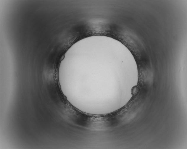 X0000116660419200912211511