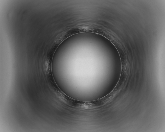 X0000116660420200912211511